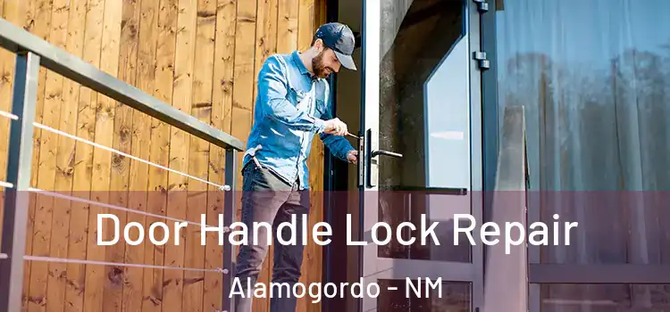 Door Handle Lock Repair Alamogordo - NM