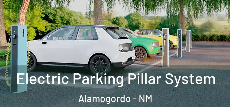 Electric Parking Pillar System Alamogordo - NM