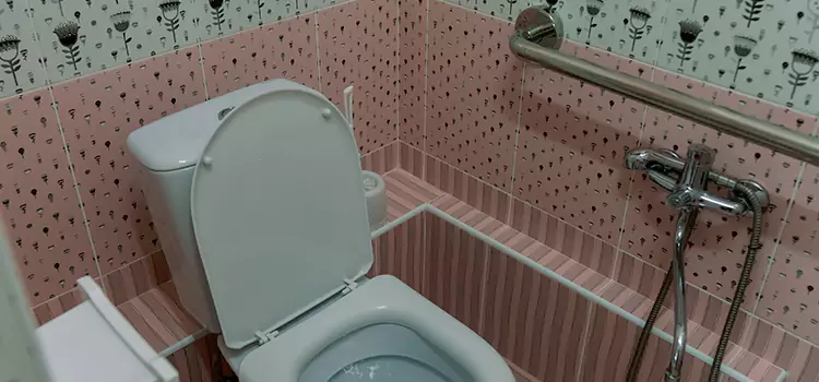 Meeting Diverse Needs With Accessible Restroom Solutions in Alamogordo, NM