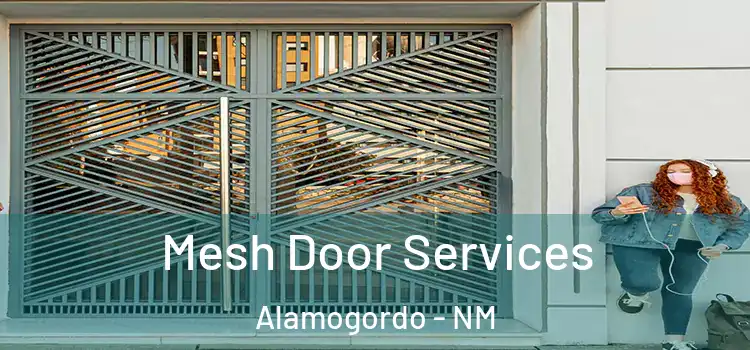 Mesh Door Services Alamogordo - NM