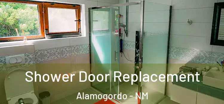 Shower Door Replacement Alamogordo - NM